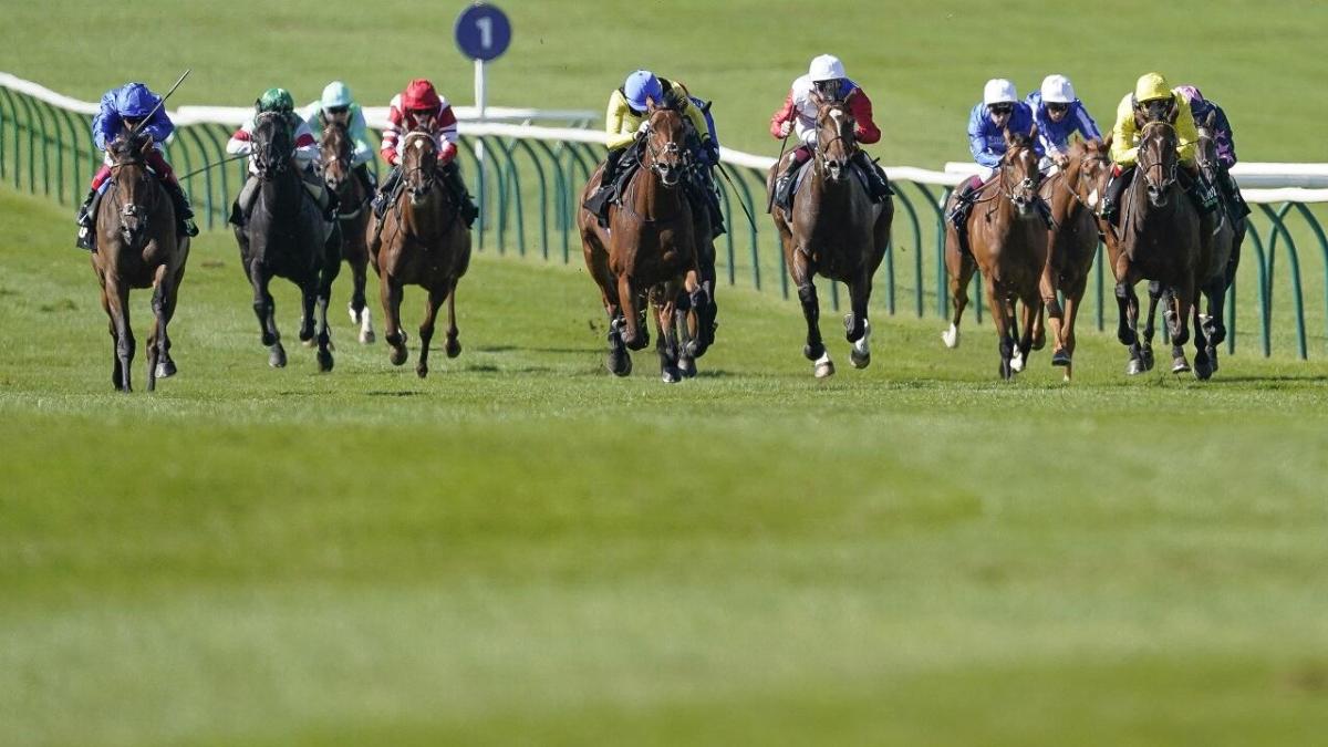 Horse racing at Newmarket